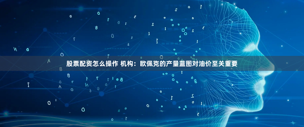 股票配资怎么操作 机构：欧佩克的产量蓝图对油价至关重要