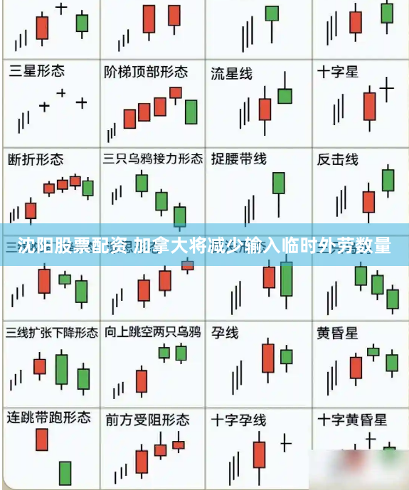 沈阳股票配资 加拿大将减少输入临时外劳数量
