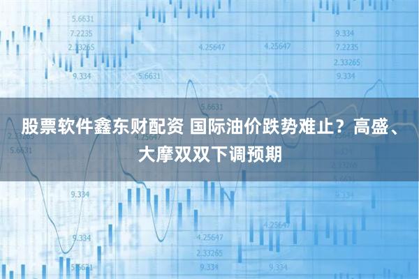 股票软件鑫东财配资 国际油价跌势难止？高盛、大摩双双下调预期