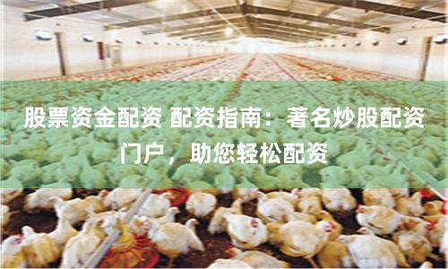 股票资金配资 配资指南：著名炒股配资门户，助您轻松配资