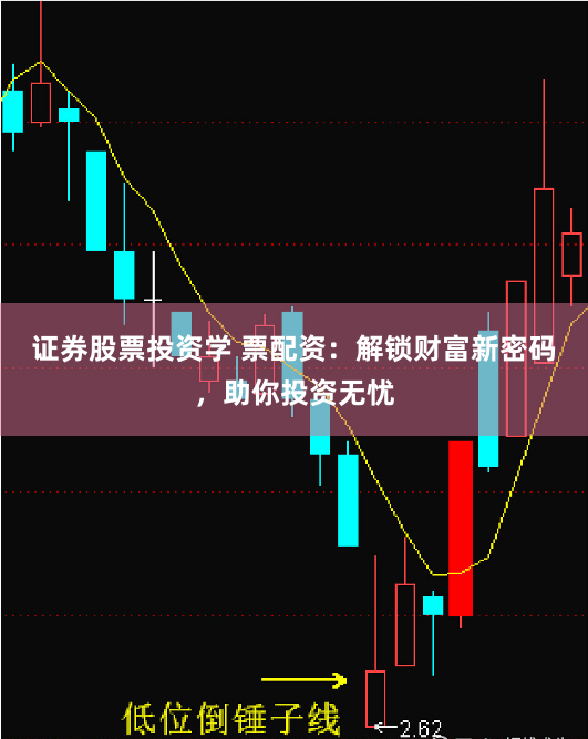 证券股票投资学 票配资：解锁财富新密码，助你投资无忧